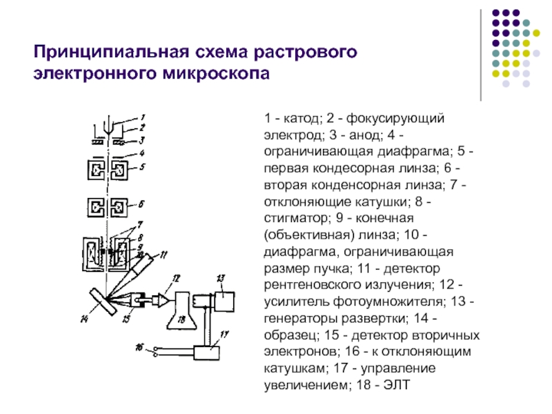 Сканирующий электронный микроскоп схема