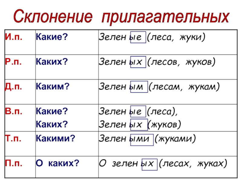 Склонение имен прилагательных 5 класс презентация