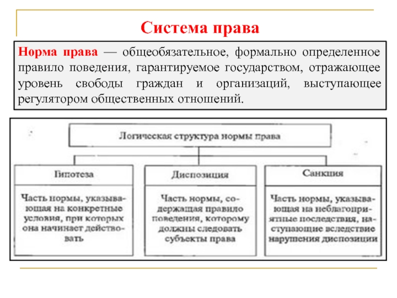 Определение установленные в обществе правила образцы поведения регулирующие жизнь людей относятся к