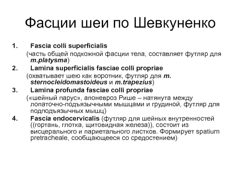 Нарисовать в тетради схему фасций шеи по в н шевкуненко