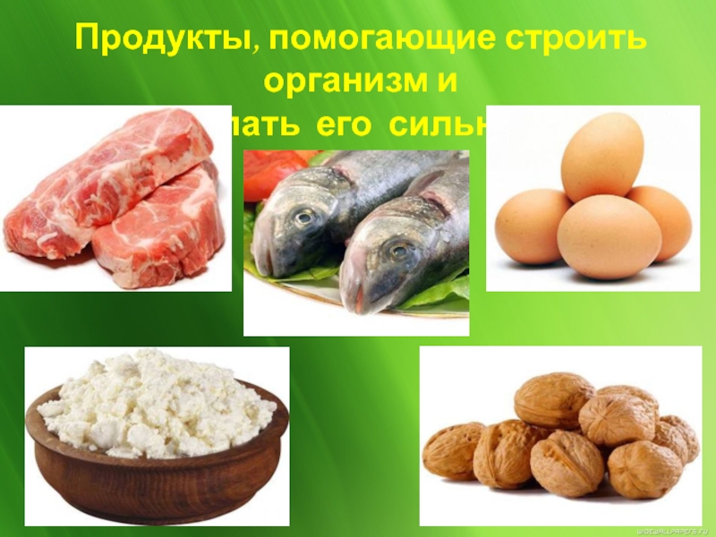 Этот продукт поможет проект. Картинка для детей продукты которые помогают строить организм.