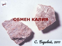 ОБМЕН КАЛИЯ