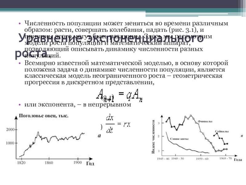 Изменение численности популяции. Математические модели роста популяции. Математические модели роста численности популяции. Уравнение численности популяции. Модель экспоненциального роста численности популяции задачи.