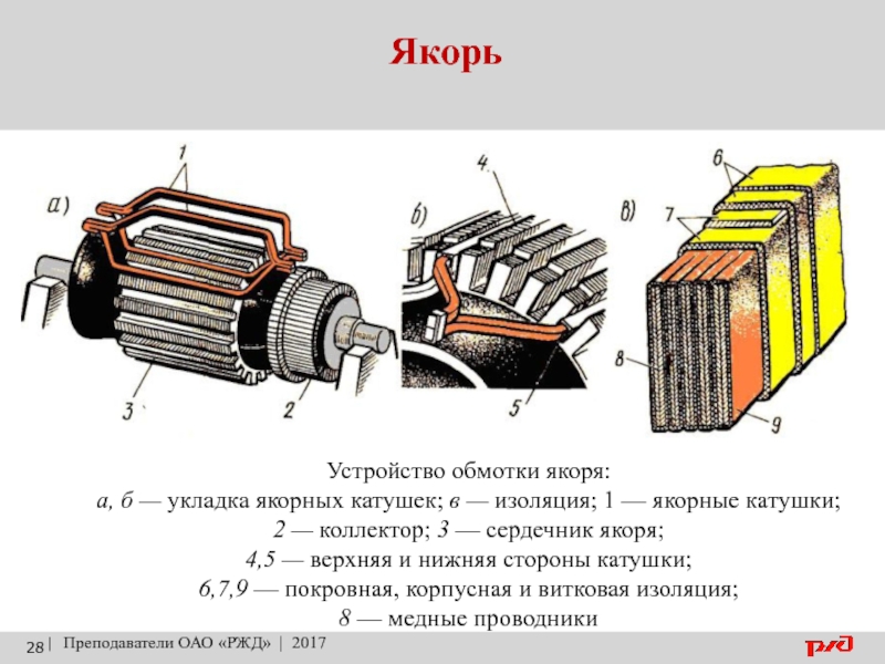 Схема якоря электродвигателя