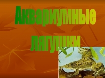 Аквариумные лягушки