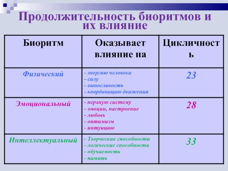 Виды биоритмов человека презентация