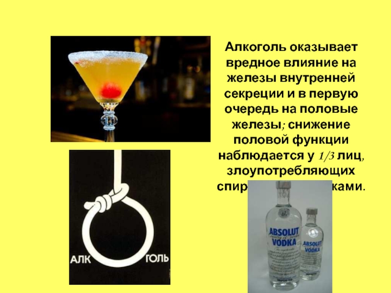 Первый алкогольный напиток. Влияет ли алкоголь на железы внутренней секреции. Алкоголь оказывает вредное влияние на железы. Как алкоголь влияет на железы внутренней секреции.