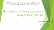 Некомпактный миокард левого желудочка (НМЛЖ)