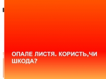 Опале Листя. користь,чи шкода?
