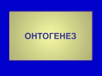 Онтогенез.ppt