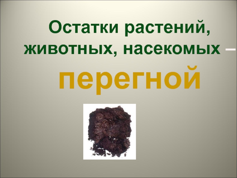 Перегной растительного и животного происхождения. Перегной это остатки растений и животных.