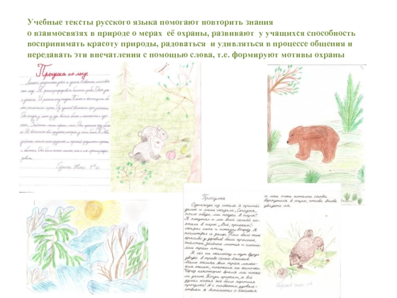 Учебные тексты русского языка помогают повторить знания о взаимосвязях в природе о мерах её охраны, развивают у