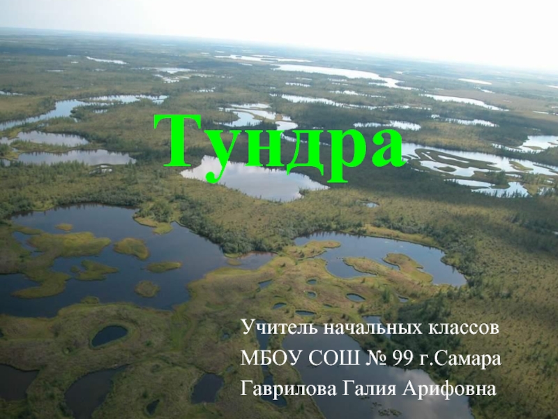 Природные зоны России тундра