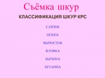 Съёмка шкур
