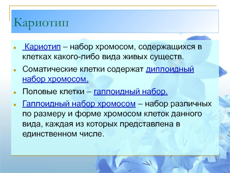 Кариотип диплоидный набор хромосом. Набор хромосом содержащийся в клетках. Какие клетки содержат диплоидный набор хромосом. Гаплоидный набор хромосом содержится в. Гаплоидный набор хромосом это кариотип.