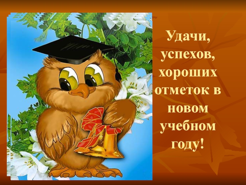 День хороших оценок. Удачи в учебе. Успехов в учебе пожелания. Желаем успехов в новом учебном году. Удачи вам в учебе.