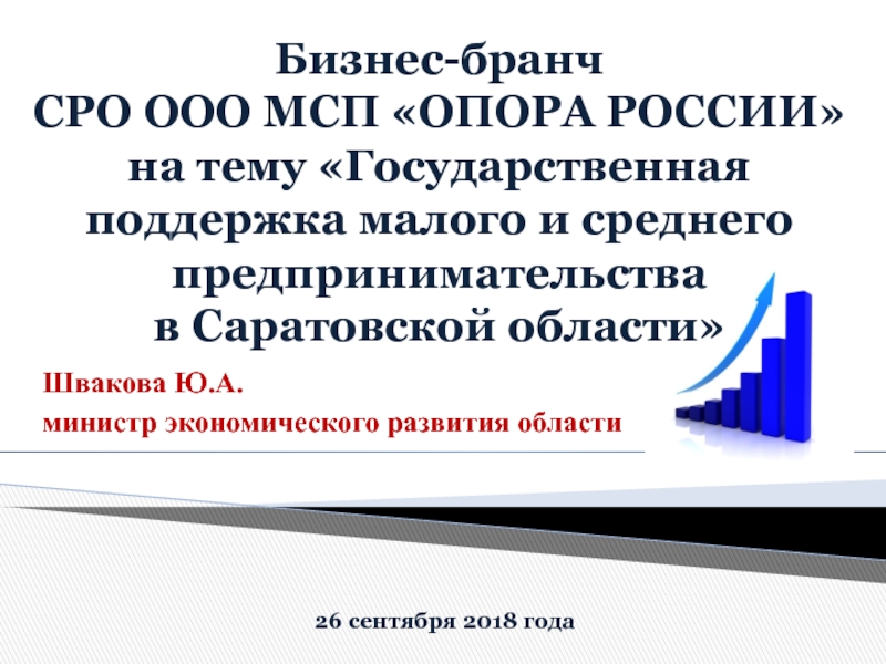 Бизнес-бранч СРО ООО МСП ОПОРА РОССИИ на тему Государственная поддержка