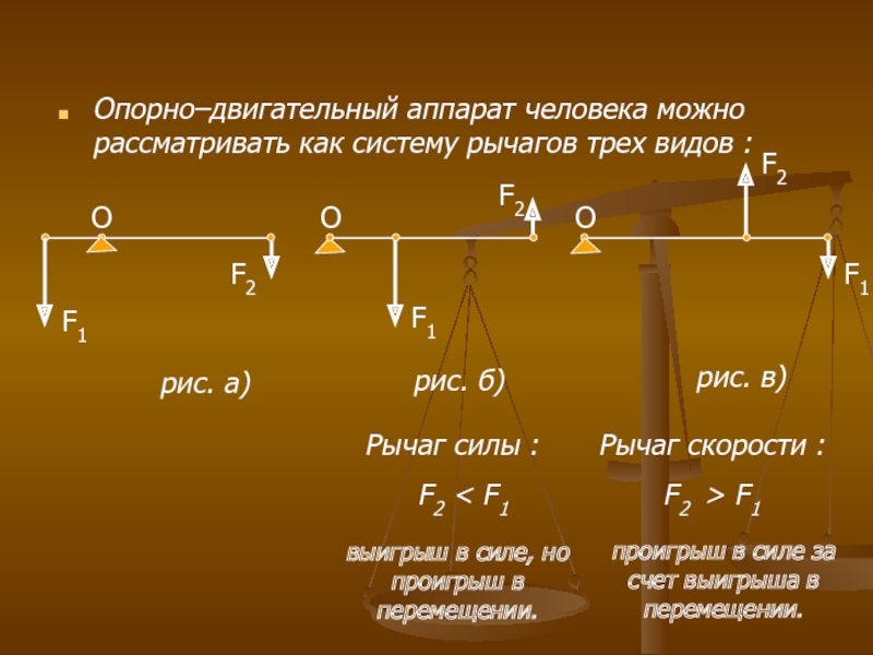 Сила плеча рычага. 3 Вида рычага физика. Выигрыш в силе рычага. Рычаги силы и скорости. Классификация рычагов.