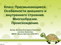 Класс Пресмыкающиеся. Особенности внешнего и внутреннего строения