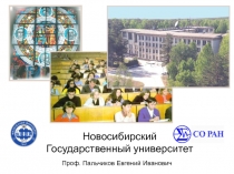 Новосибирский Государственный университет
Проф. Пальчиков Евгений Иванович
