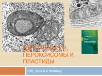 Митохондрии, пероксисомы и пластиды