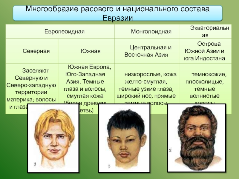 Какой народ евразии. Расовый состав Евразии. Причины расового многообразия. Описание расового и национального типа лица. Хартия расового разнообразия в России.