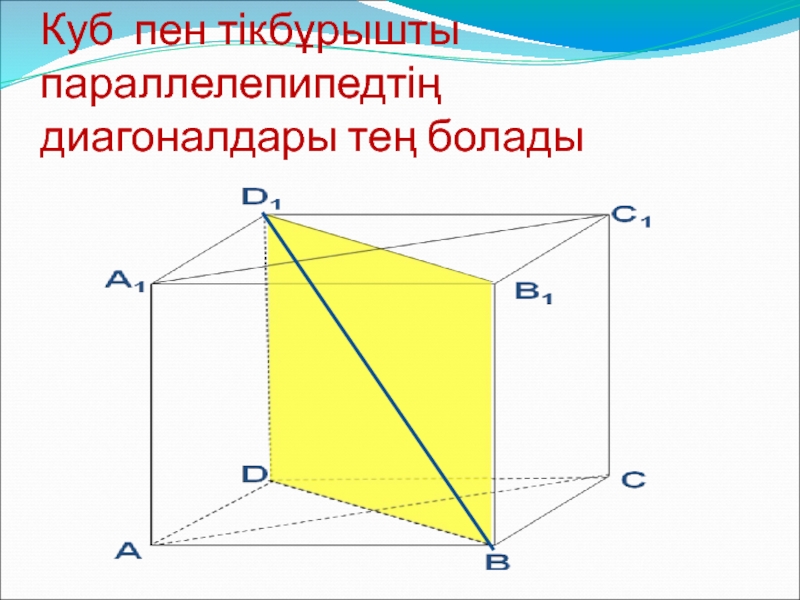 Тік бұрышты параллелепипед 5 сынып