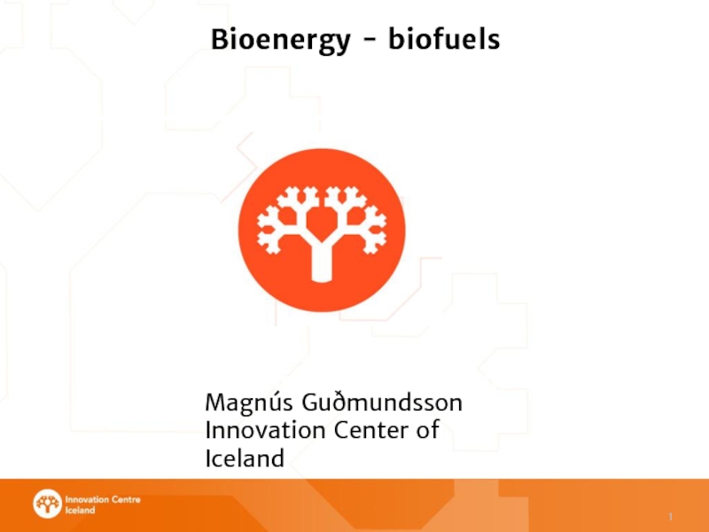 1
Bioenergy - biofuels
Magnús Guðmundsson
Innovation Center of Iceland
Magnús