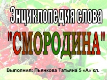 Энциклопедия слова Смородина