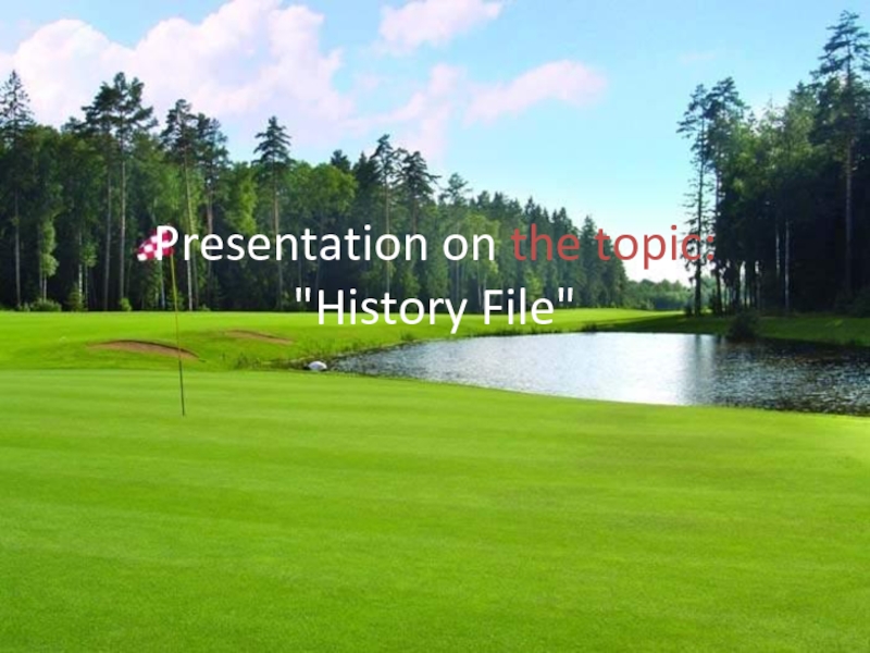 Презентация History File