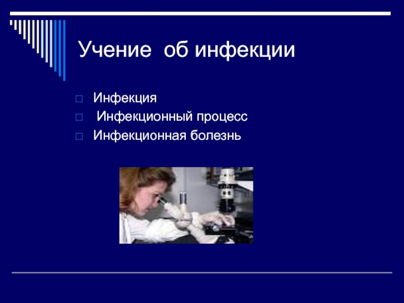 Презентация Учение об инфекции