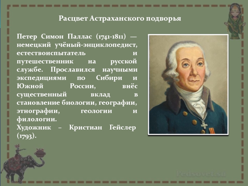 Подготовьте сообщение об участниках российских научных экспедиций. Паллас путешественник в Сибири. Паллас вклад в биологию.