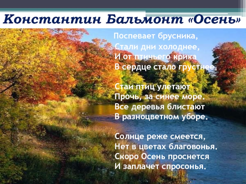 Скоро осень проснется и заплачет. Бальмонт поспевает брусника. Стихотворение Константина Бальмонта осень. Константин Бальмонт поспевает брусника. К. Д. Бальмонт «поспевает брусника…».