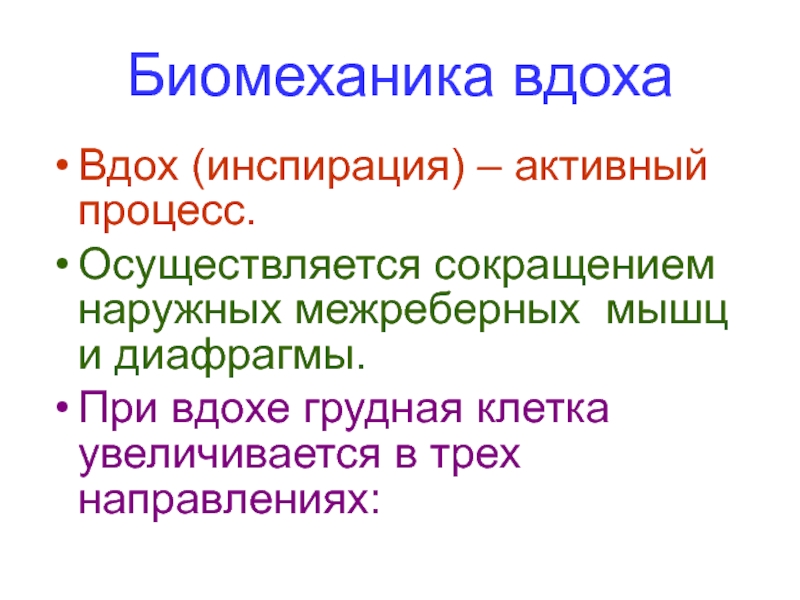 Биомеханика внешнего дыхания презентация