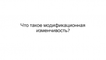 Что такое модификационная изменчивость?
