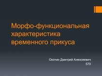 Морфо-функциональная характеристика временного прикуса