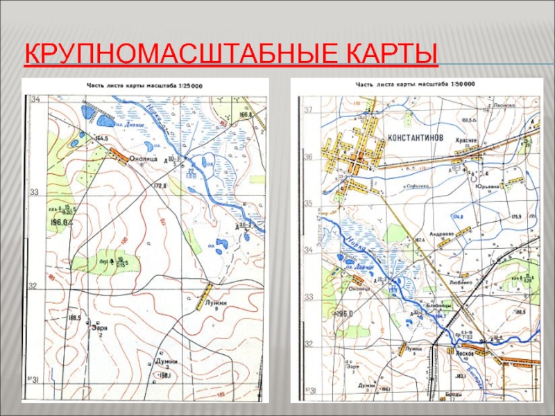 Топографические карты и их содержание презентация