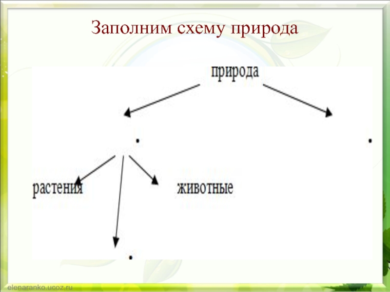 Примеры схем природы. Схема заполнить схему природа. Схема о природе писали. Природа заполни схему. Заполни схему о природе писали.