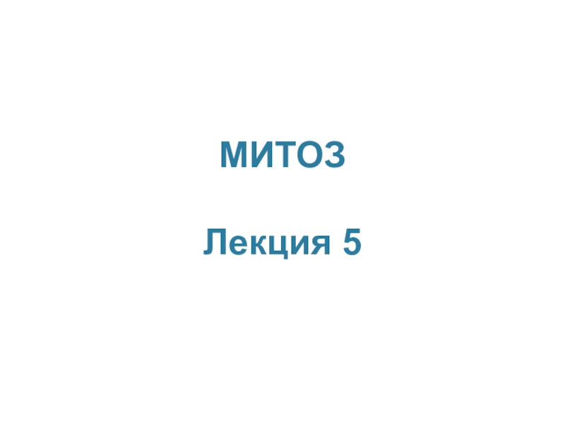 МИТОЗ Лекция 5