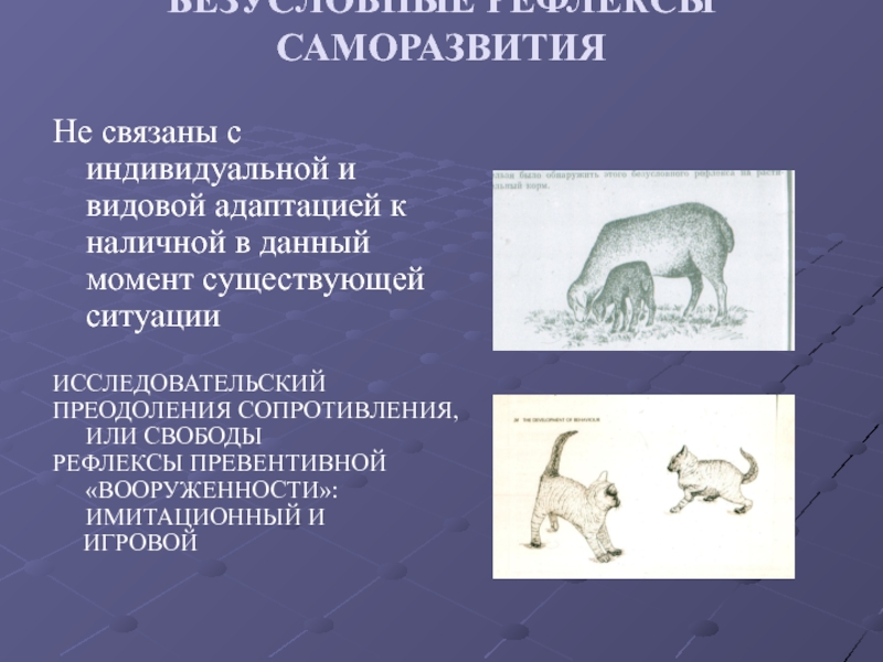 Безусловные рефлексы. Безусловные рефлексы саморазвития. Перечислите безусловные рефлексы саморазвития:. Безусловные рефлексы это рефлексы. Подражательные условные рефлексы.