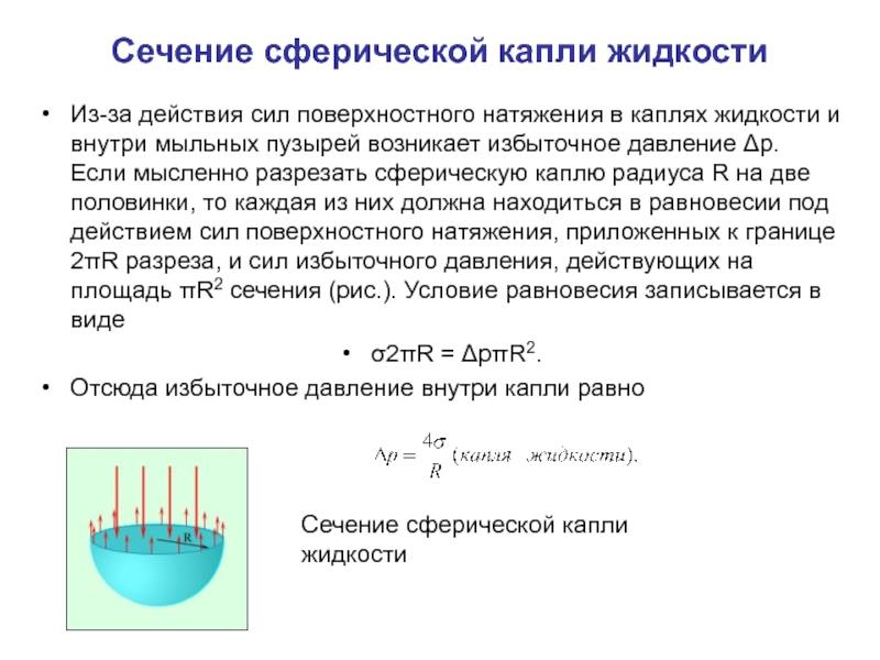 Презентация поверхностное натяжение жидкости 10 класс