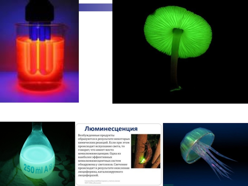 Люминесценция физика презентация