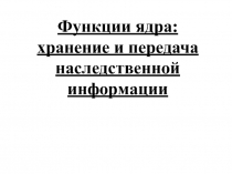 Функции ядра: хранение и передача наследственной информации