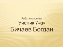 Работу выполнил
Ученик 7а
Бичаев Богдан