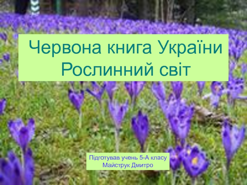 Червона книга України Рослинний світ
П ідготував учень 5-А класу
Майструк Дмитро