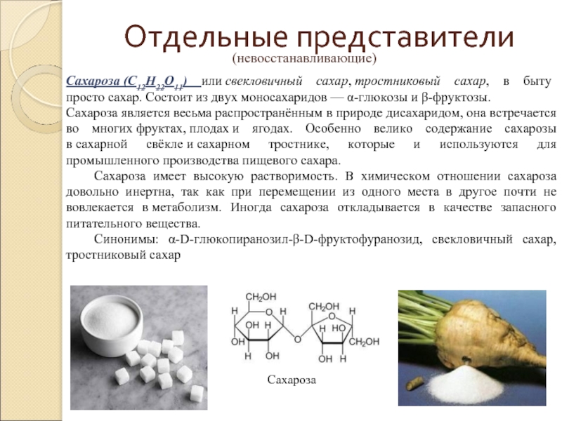 Из сахарной свеклы пирог