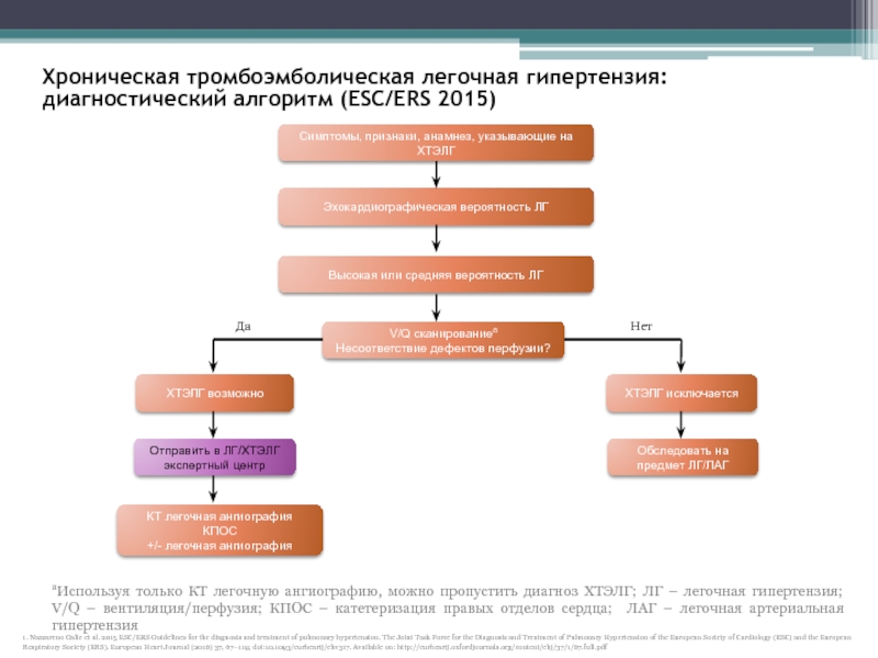 Схема лечения легочной гипертензии