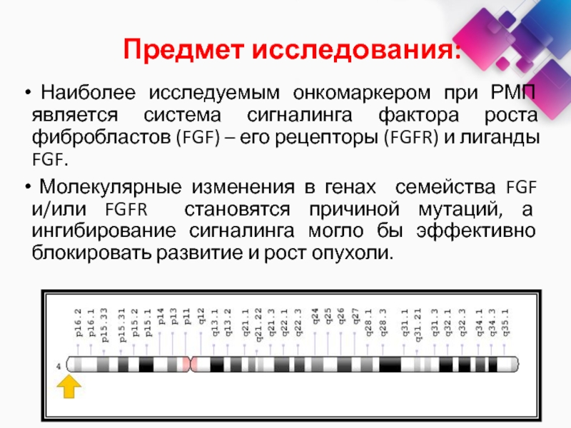 Наиболее исследованными