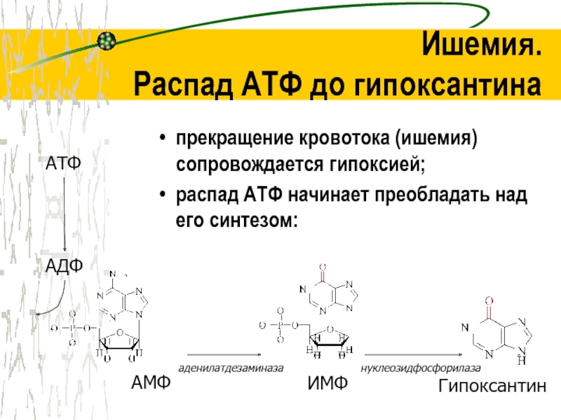 Синтез 36 атф