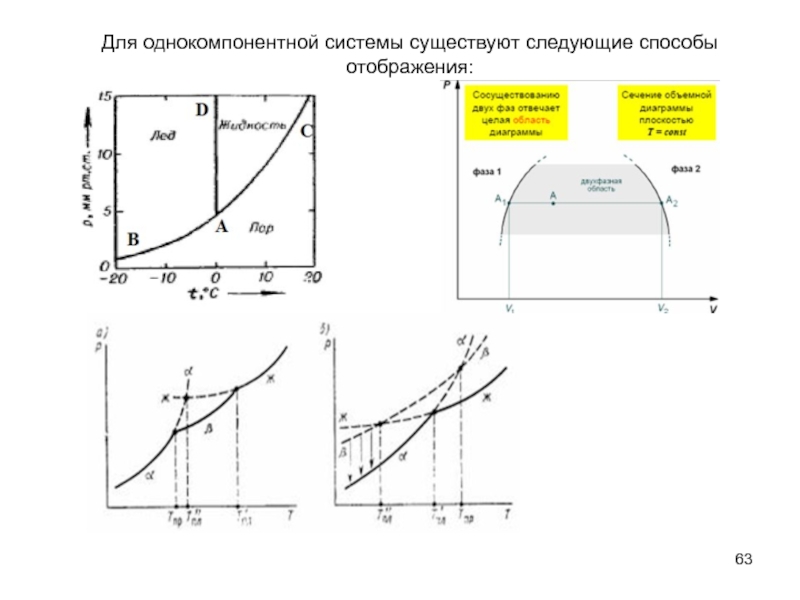 Какое уравнение описывает линии равновесия на диаграммах состояния однокомпонентных систем